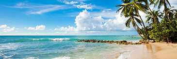 Last-Minute Bermuda