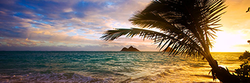 Last-Minute Hawaii