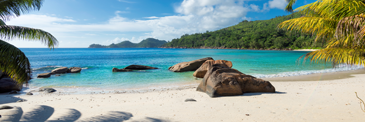 Last-Minute Western Caribbean