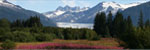 FAMILY CRUISES TO ALASKA