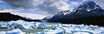 NORTH OR SOUTHBOUND GULF OF ALASKA CRUISES
