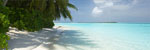FAMILY CRUISES TO CARIBBEAN & MORE