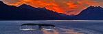 Alaska Royal Caribbean Cruises