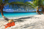 Caribbean and Bahama Royal Caribbean Cruises